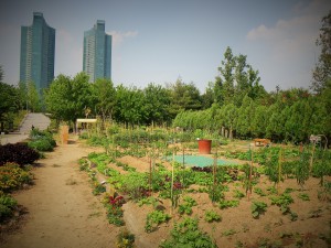 05_Seoul Forest - Community garden